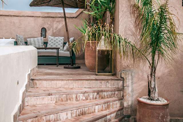 婚姻中的透明度，如何通过正规渠道获取调查结果